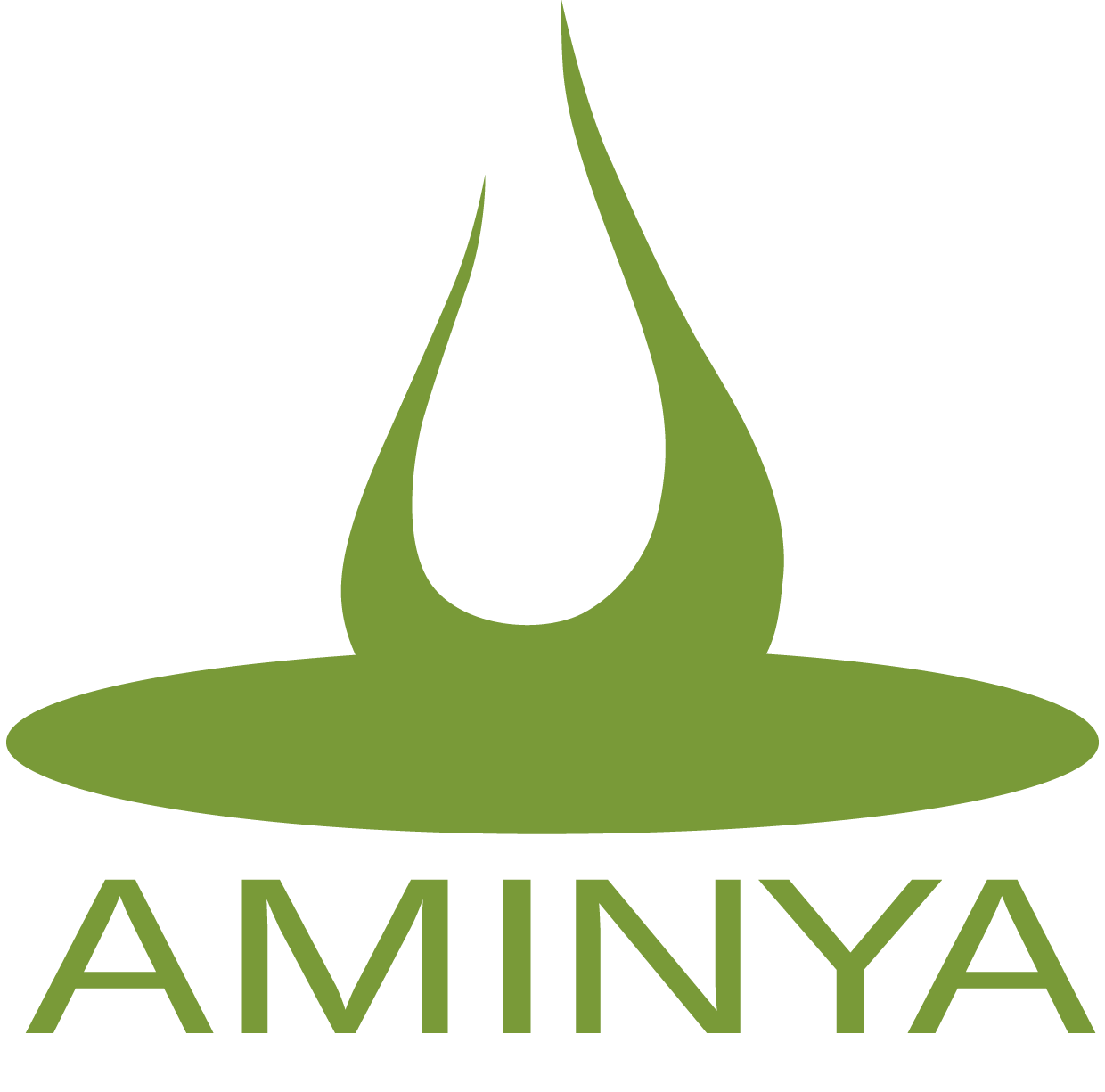 Aminya logo_green